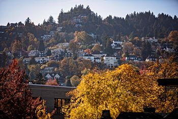 Iconic portland views